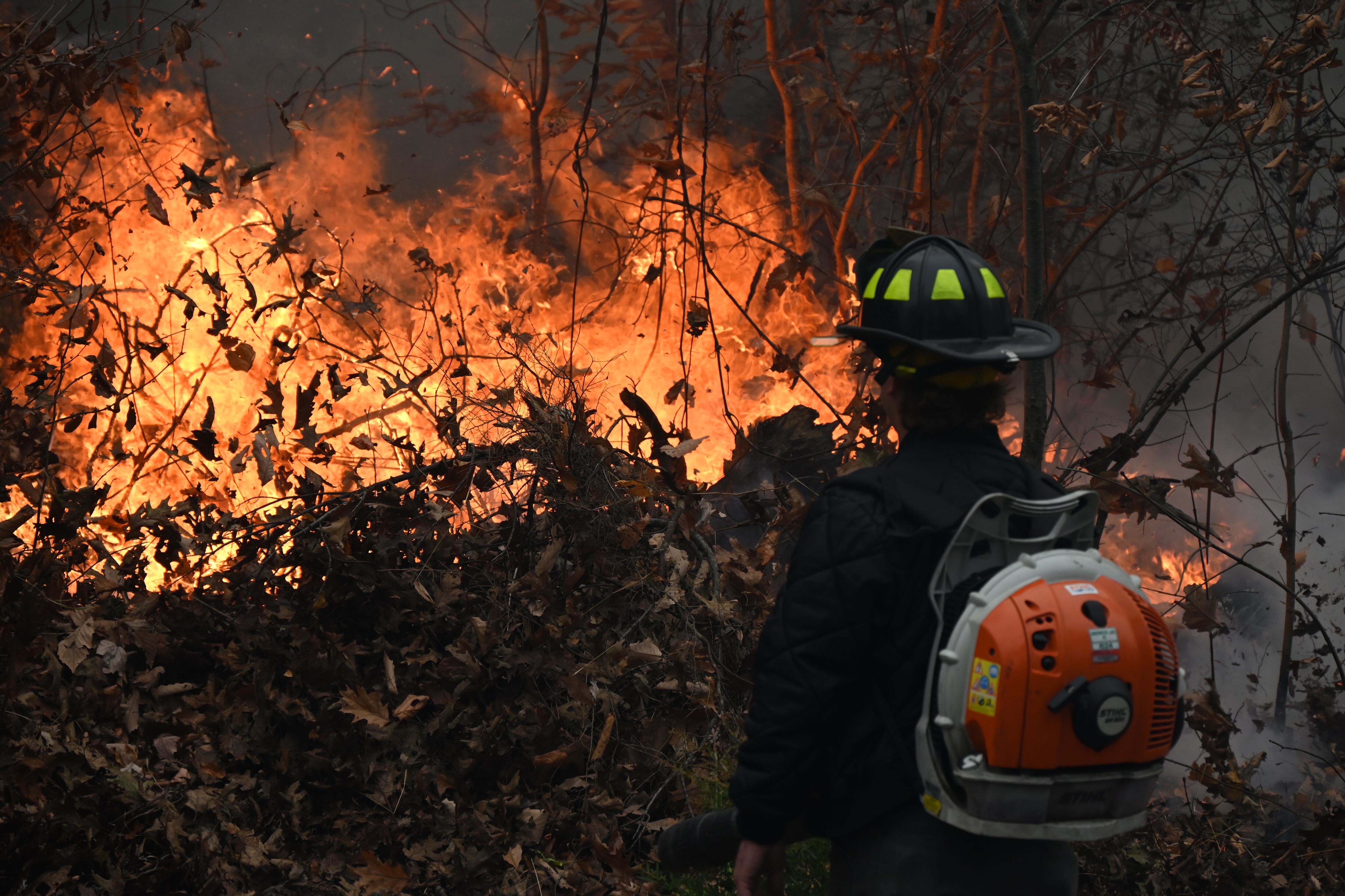 A firefighter approaches flames from a wildfire.