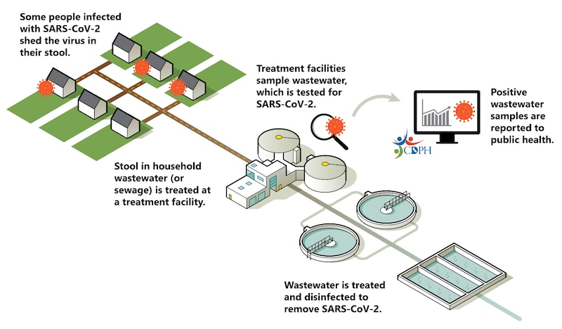 This graphic illustrates how sewage samples are collected from multiple sites and sent to labs for testing.