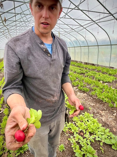 Daniel Williams holds a freshly picked radish on a farm.