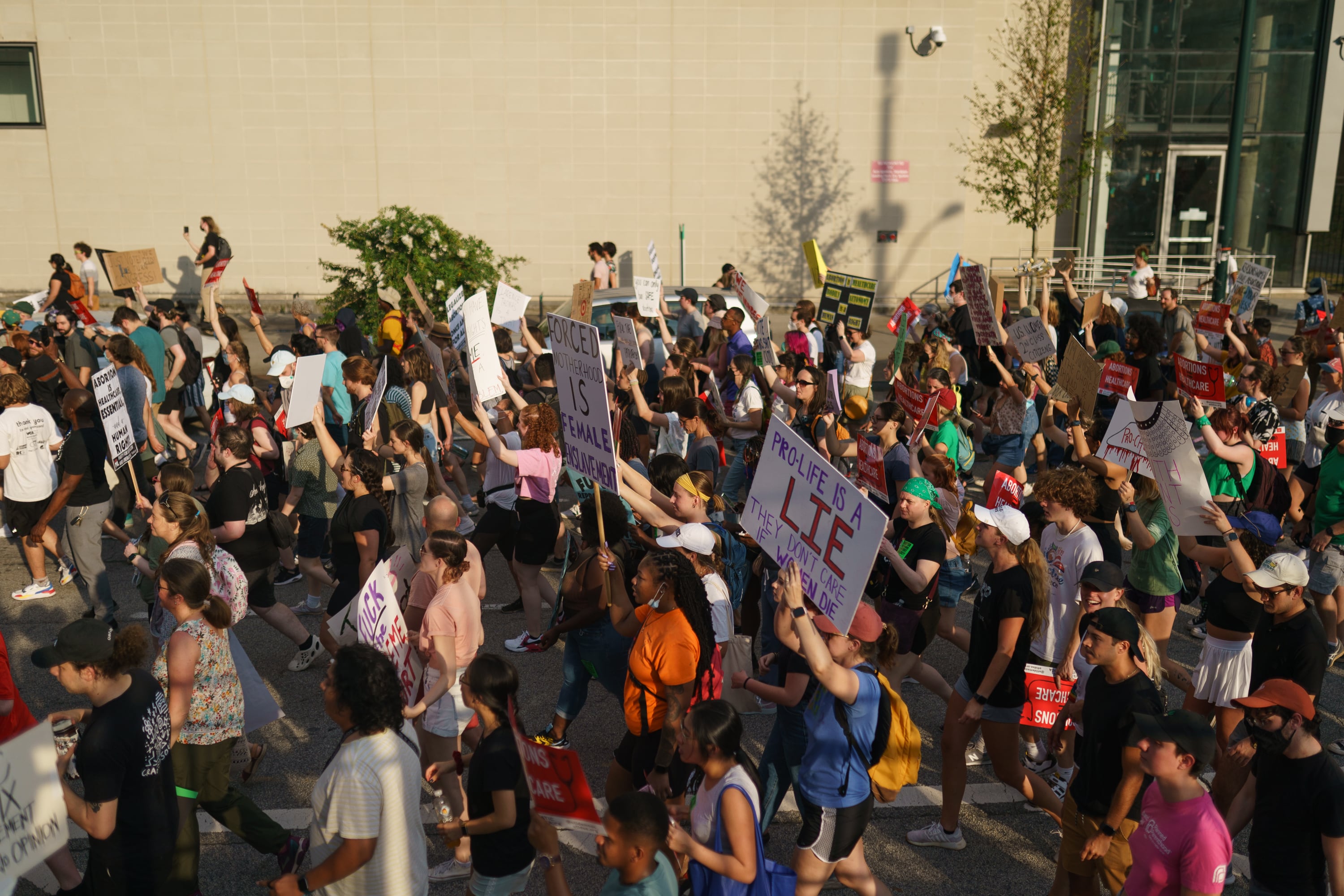 A large group of protestors outside holding signs and marching down a street on a sunny day.