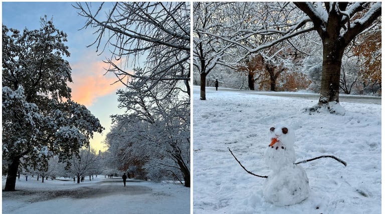 New York health update: Nuts recalled, measles nearby, medspa red flags, flu rising