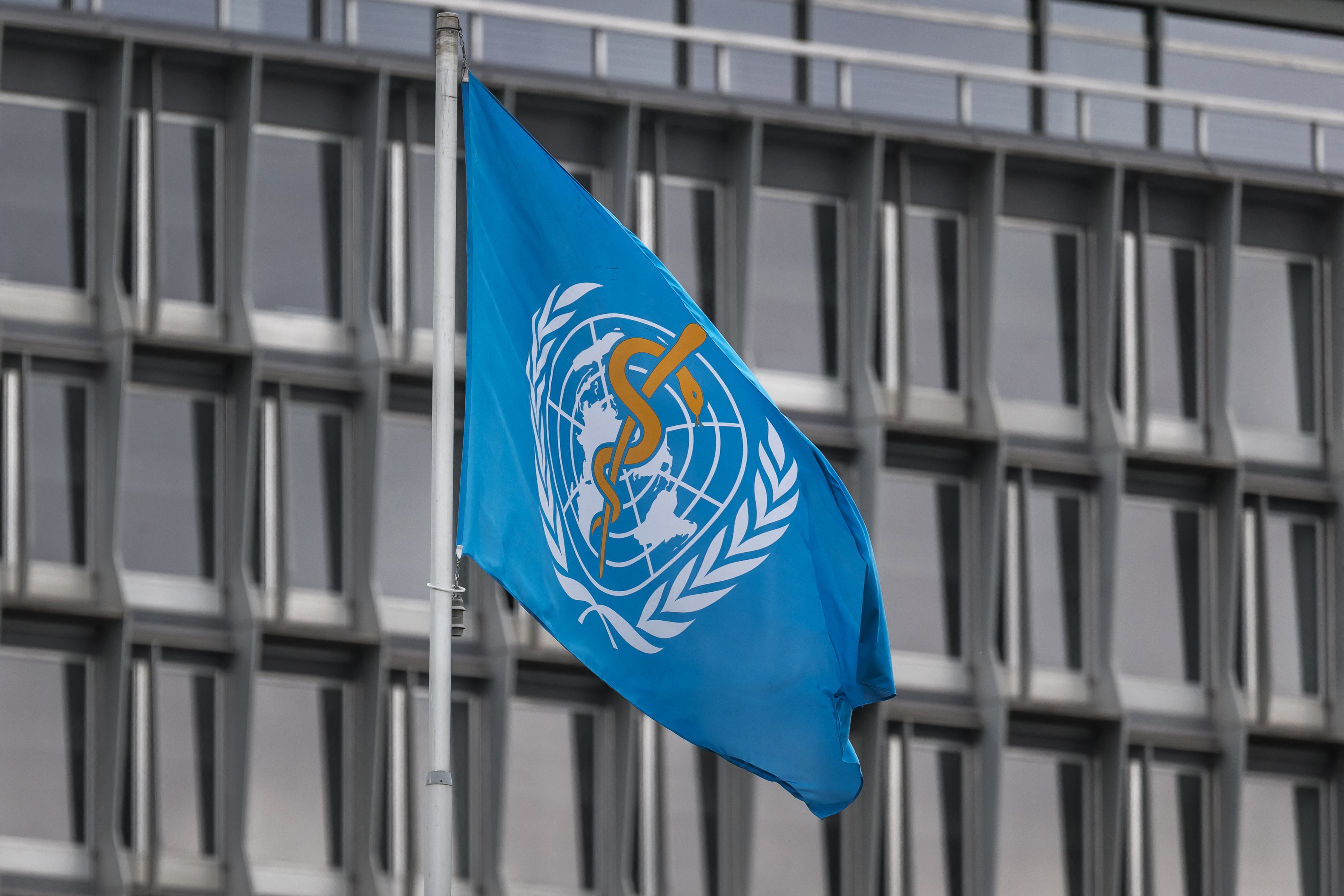 The World Health Organization flag flies outside the organization's headquarters.