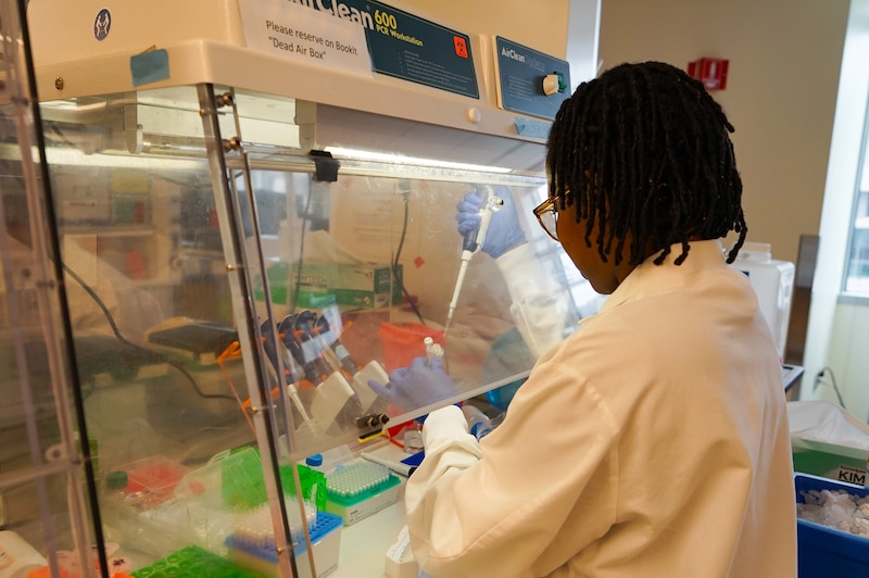 A biologist works in a lab.
