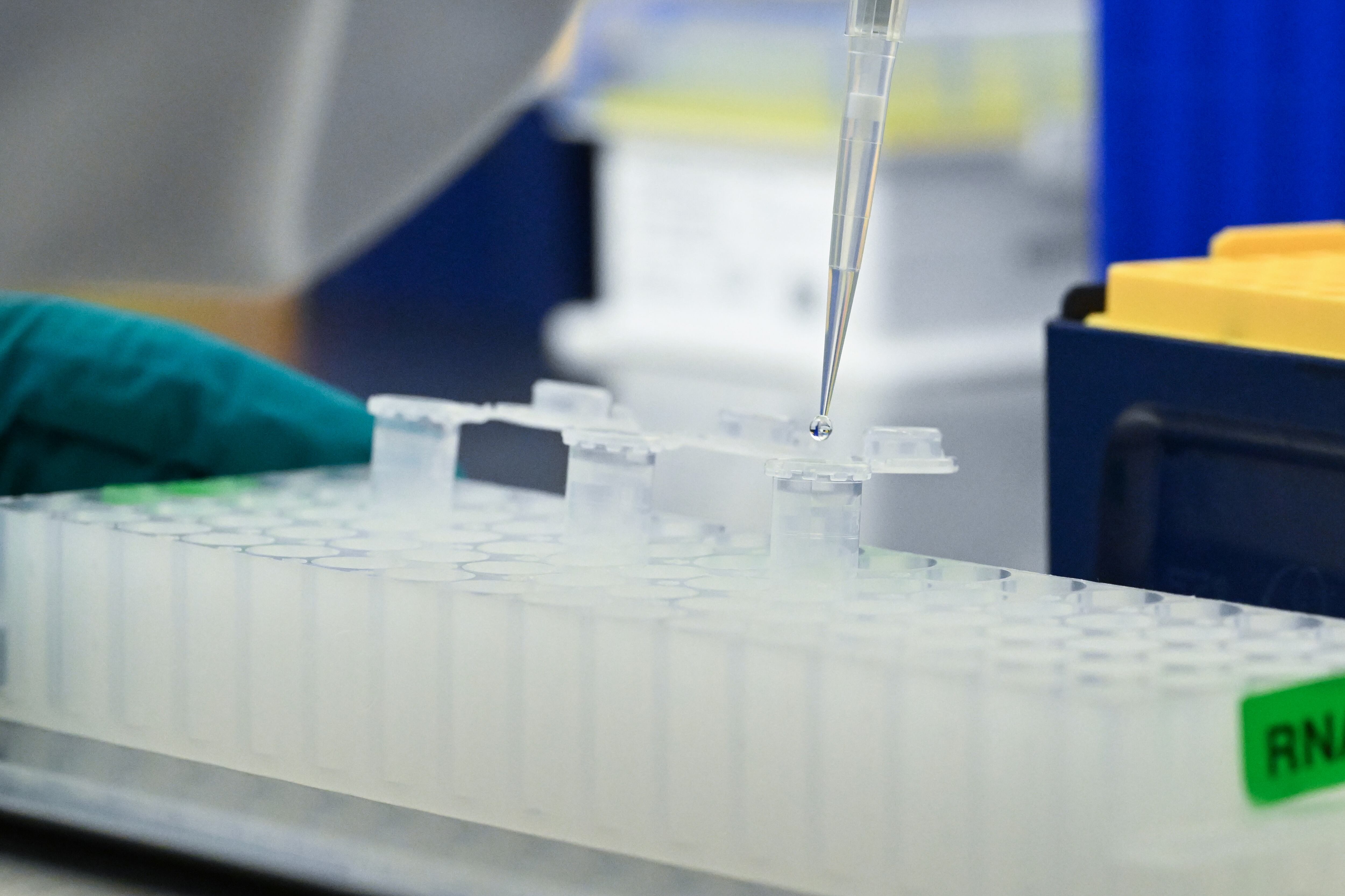 An employee pipettes in a laboratory.