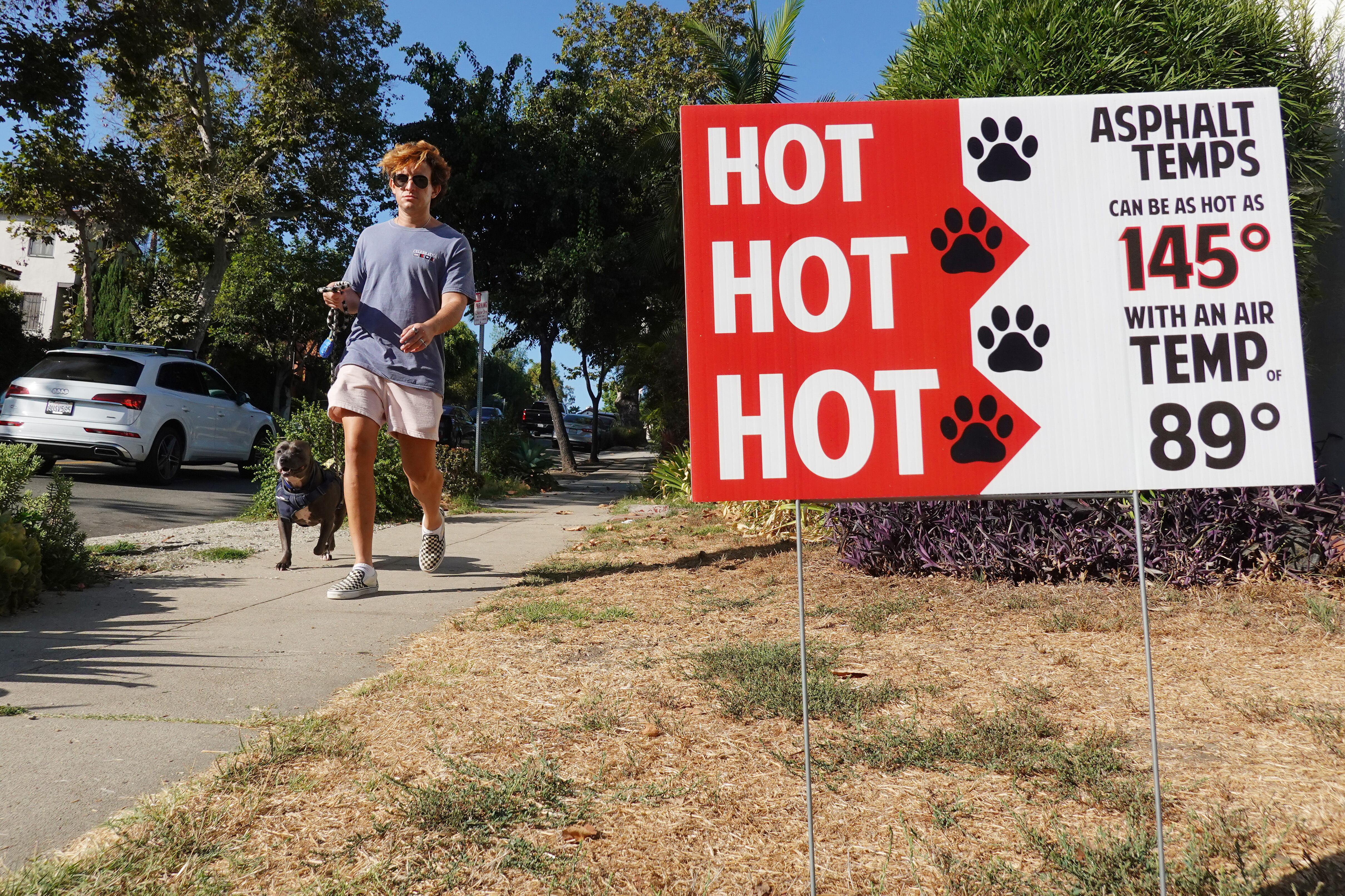 A man walks a dog down a sidewalk by a sign alerting to hot temperatures.