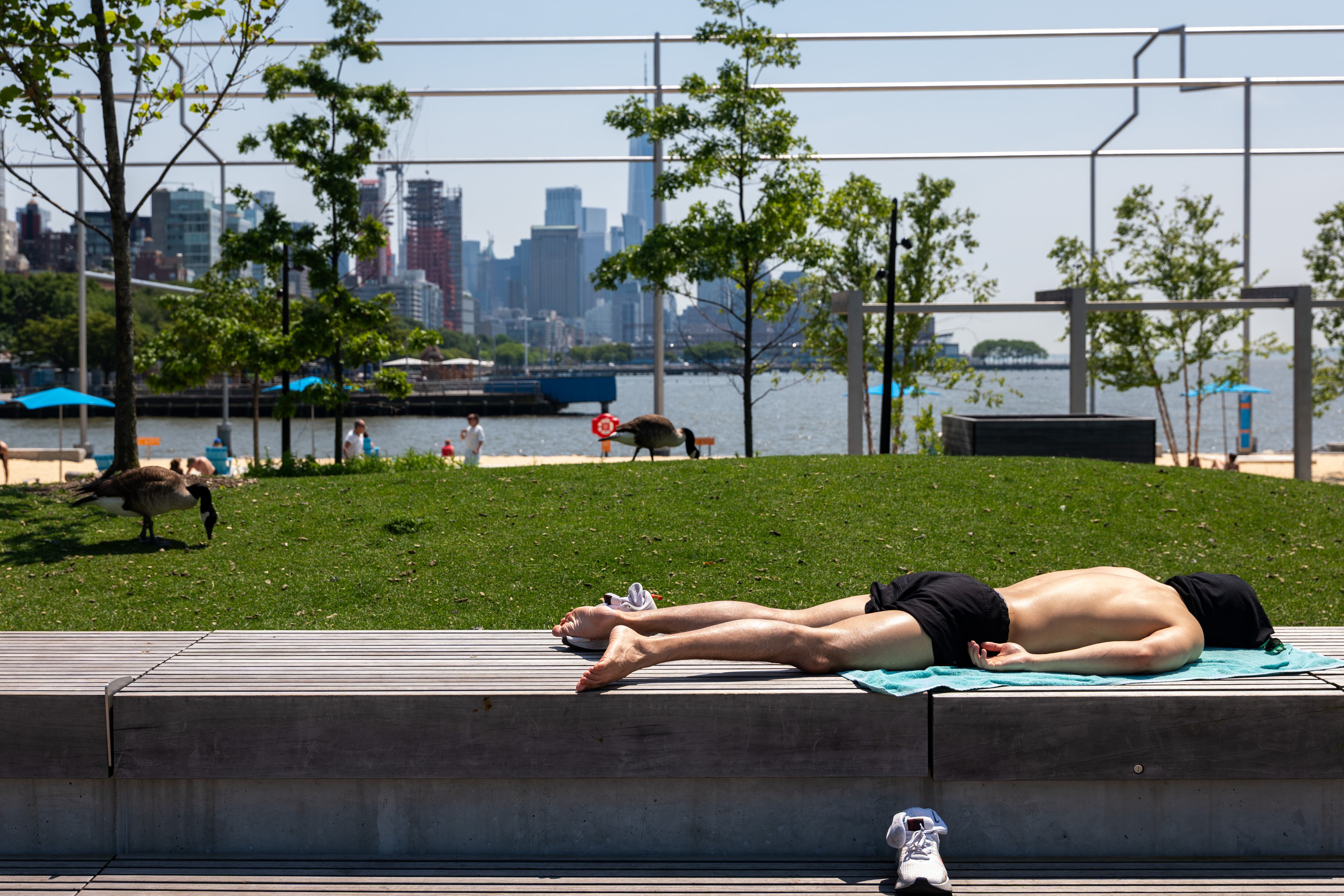 A shirtless person sunbathes with the New York City skyline in the background.