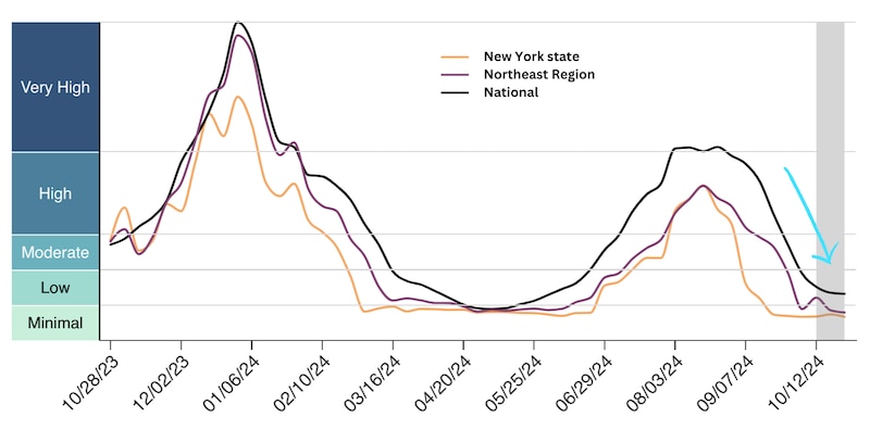 A line graph shows declining SARS-CoV-2 concentrations in New York.